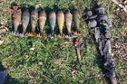 Спасатели Днепропетровщины уничтожили 47 современных боеприпасов