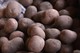 В Україні вартість картоплі вже вдвічі вища, ніж торік: що буде з цінами далі