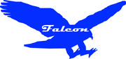    - - (Falcon-Service)