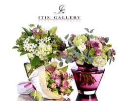  -  (Itis Gallery), 