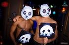   Panda  (Night Club Paris, 9.10.2015)