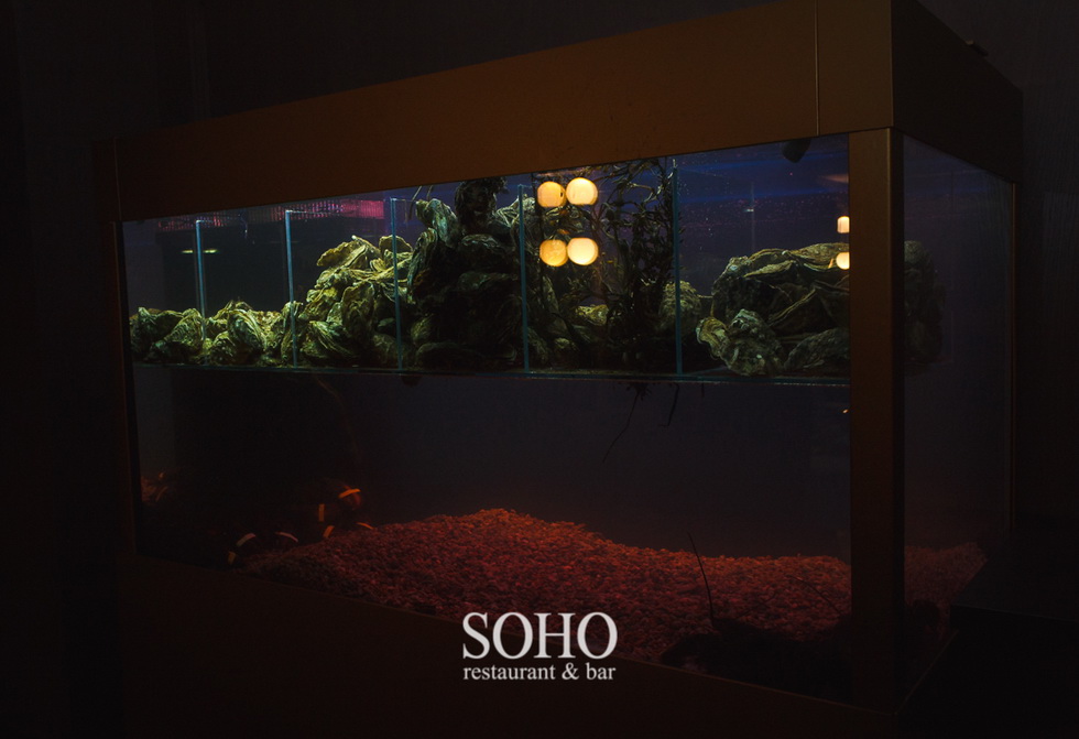  SOHO Restaurant & bar 29-30 