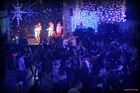 Homer Software House Party (-)