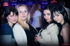 Homer Software House Party (-)