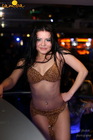 5   Samba House